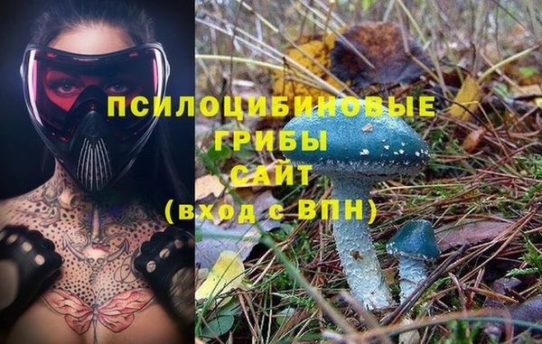 a pvp Абинск