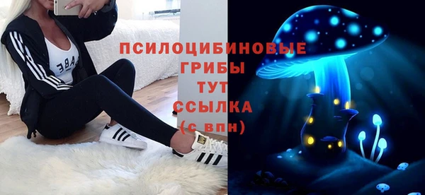 трава Абаза