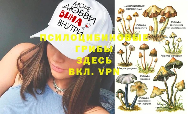 a pvp Абинск