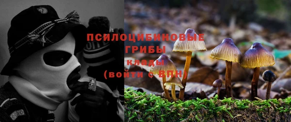 a pvp Абинск